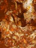 Carne de puerco con salsa de chipotle (Pork with chipotle sauce)