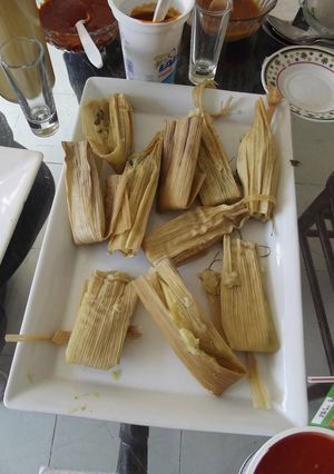A picture of Mushroom Tamales.
