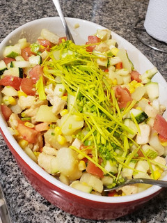 Una foto de Salpicón de verduras y pollo
