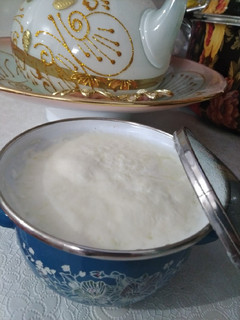 عکسی از دستور ماست خونگی