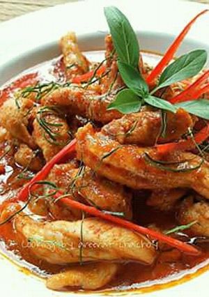 A picture of Panang Chicken Curry.
