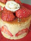 Fraisier healthy