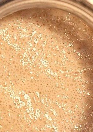 Una foto de Levadura madre para hacer pan