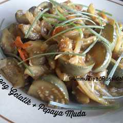 A picture of Oseng Terong Gelatik + Pepaya Muda.