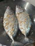 Marinasi Ikan Kuwe