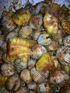 Foto resep Kerang Saus Tomat
