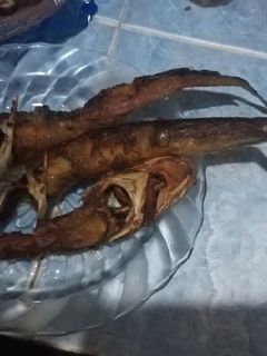 Foto resep Lele goreng garing anti meletus & anti lengket #DiRumahAja