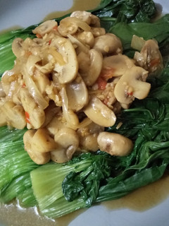 Foto resep Oseng jamur kancing dan pokchoy