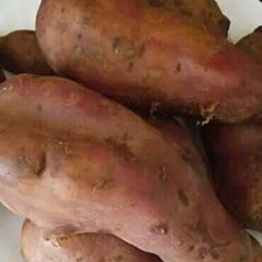 A picture of Boiled sweet potatoes.