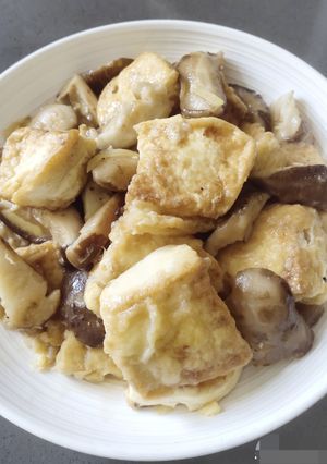 A picture of Tofu.