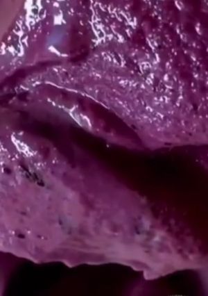 Foto de Açaí