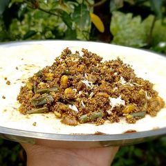 A picture of Mohar.
