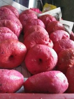 Foto resep Donaga (donat buah naga)