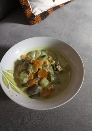Foto resep Sayur Lodeh