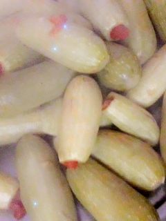 صورة لوصفة كوسا محشي