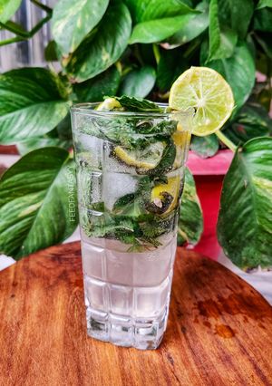 A picture of Summer Recipe : Mojito.