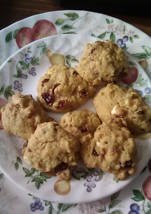 A picture of Chewy cranberry cookies.
