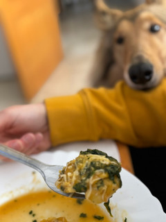 Una foto de Tortellini relleno de calabaza y cebolla