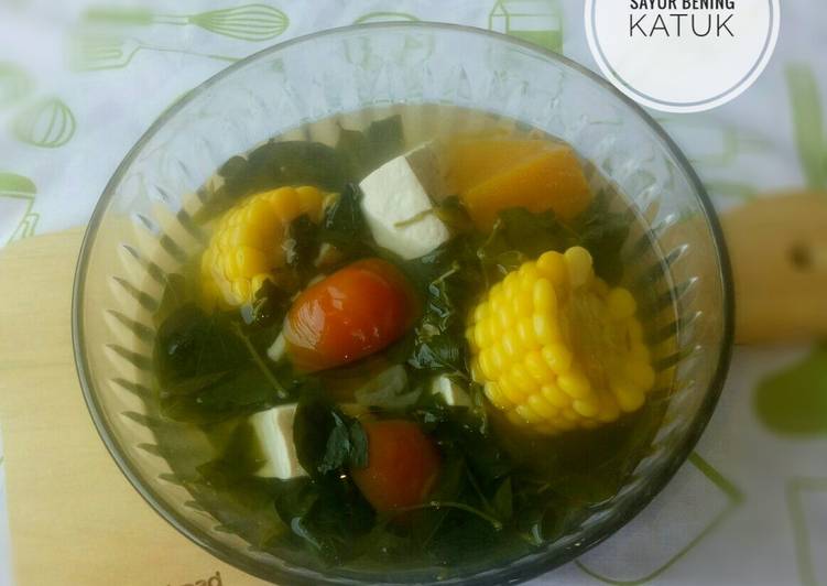 Langkah Mudah untuk Menyiapkan Sayur bening katuk(pucuk katu) Anti Gagal