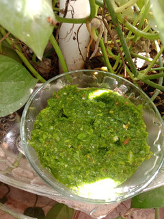 લીલા લસણ ની ચટણી (Green Garlic Chutney Recipe In Gujarati) રેસીપી મુખ્ય ફોટો