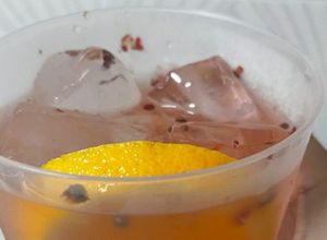 Foto de Gin de Laranja e Limão