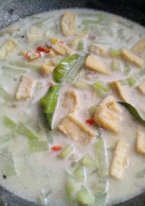 Foto resep Lodeh labu siam bumbu iris