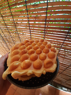 Foto resep Egg Waffle Hongkong Simpel