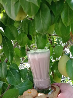 عکسی از دستور آیس کافی(قهوه یخ)☕☕☕