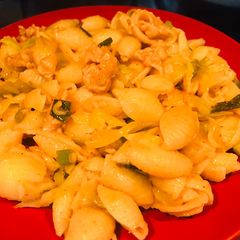 A picture of Shell macaroni.
