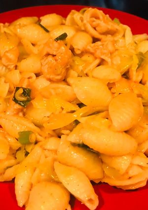 A picture of Shell macaroni.