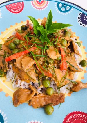 รูปของ ข้าวราดแกงแพนงหมู