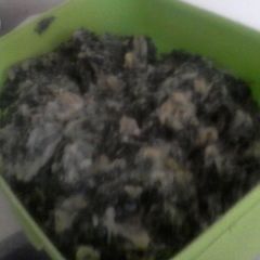 A picture of Spinach salad.