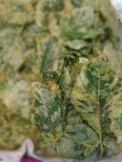 Foto resep Keripik Bayam