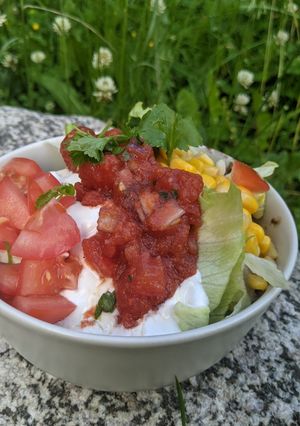 A picture of Burrito bowl.