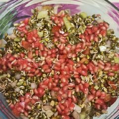 A picture of Sprouted salad.