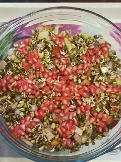 A picture of Sprouted salad.