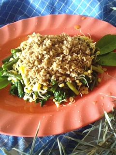 Foto resep Urap Sayur Kelapa Bakar