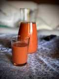 Salmorejo de sandía en Thermomix
