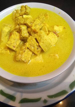 Foto resep Terik Tahu Tempe Original
