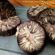 Hurricane chocolate swissroll cake #SelasaBisa