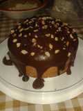 Torta tipo ponque cubierta en chocolate y maní