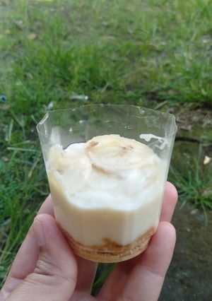 Foto resep Promina Vla Cheese 8month👶
