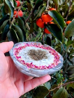 عکسی از دستور بورانی اسفناج
