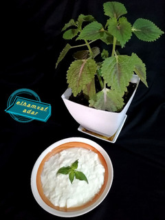 عکسی از دستور ماست خونگی الهام پز