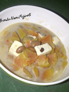 Foto resep Sayur Lodeh Kates (Pepaya muda)