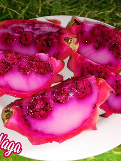 Foto resep Puding Buah Naga