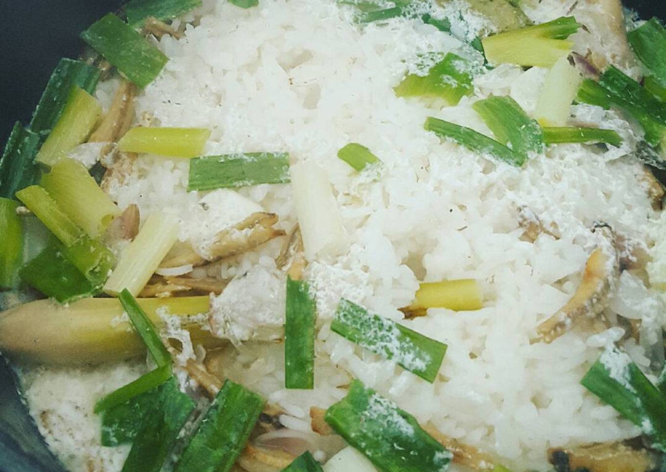 Nasi Lewit Majia Less