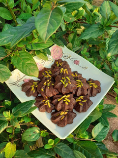 عکسی از دستور بیسکویت با پودر کاکائو بدون فر 😋😍 Cocoa biscuits