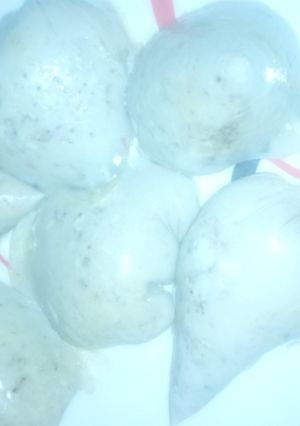 A picture of Alalar Egg.
