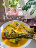 Patin tempoyak